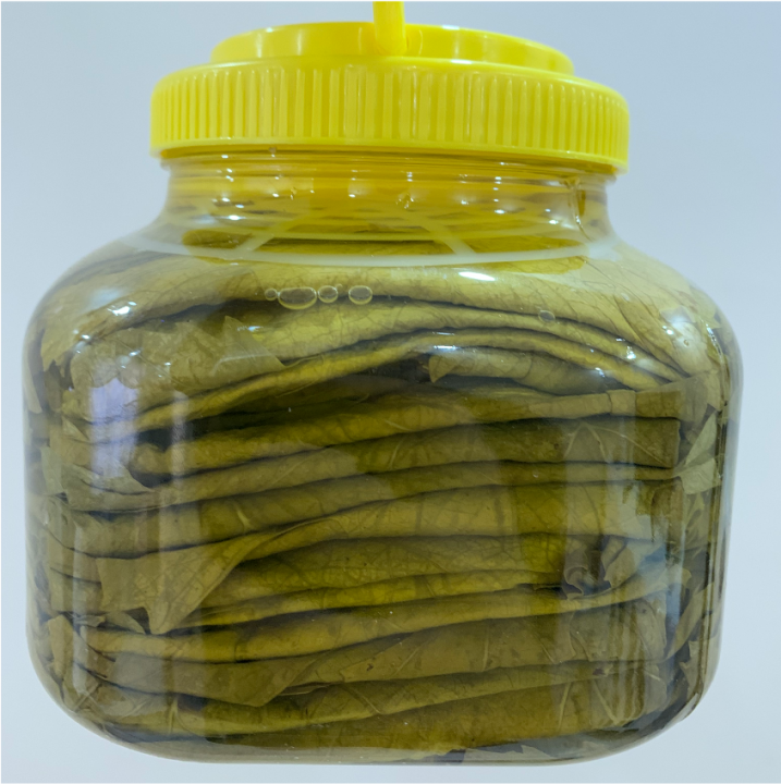 TOKAT ERBAĞ YAPRAĞI 